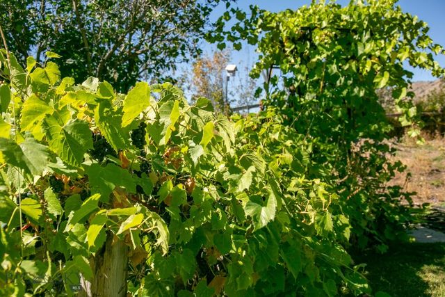 726 US Highway 10 West W, Livingston, MT 59047