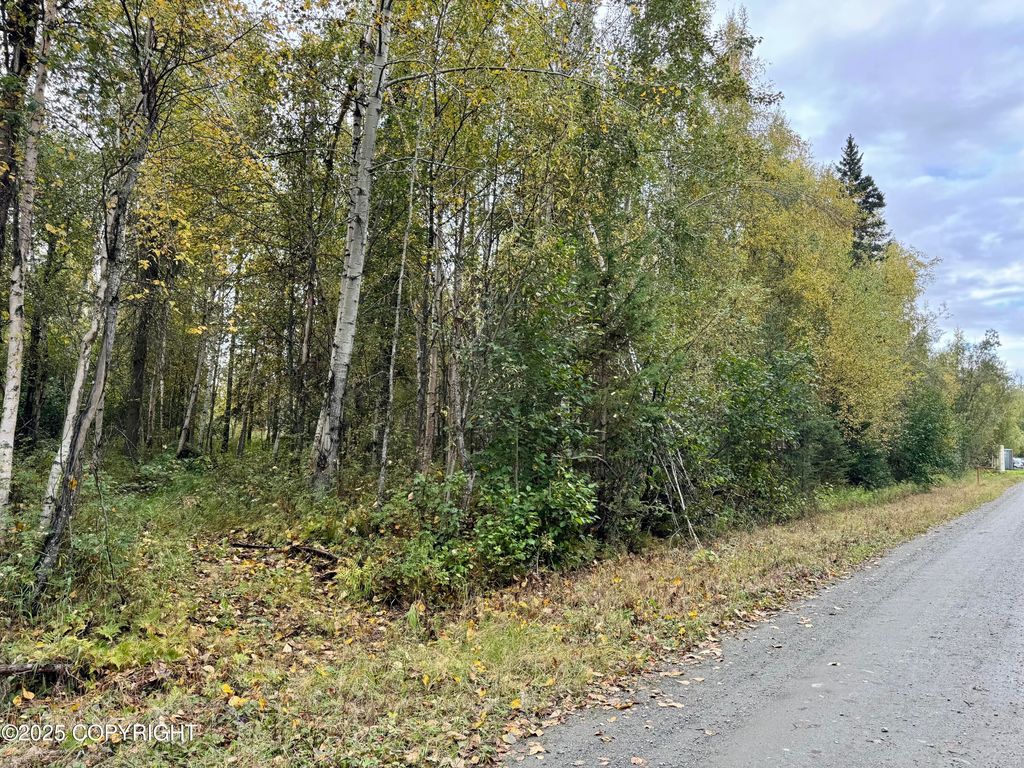 8593 S River Drive, Palmer, AK 99645