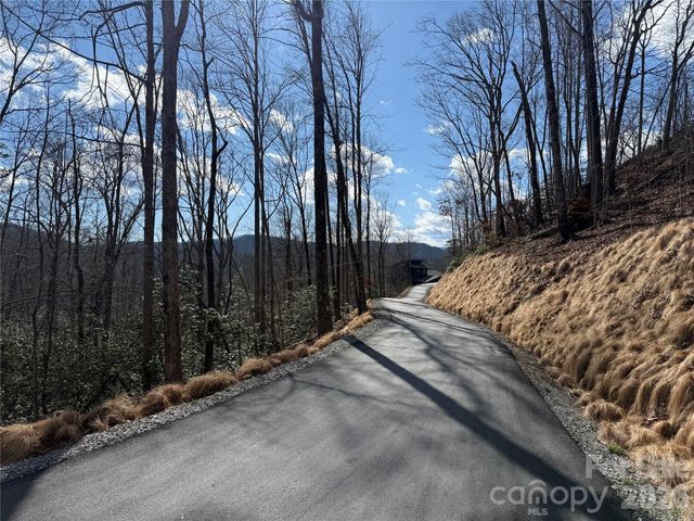 Tract 3 Turtle Ridge Trail, Mills River, NC 28759