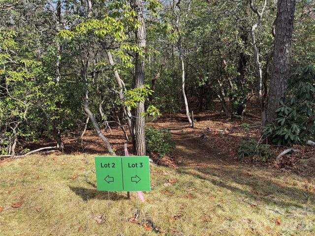 Tract 3 Turtle Ridge Trail, Mills River, NC 28759