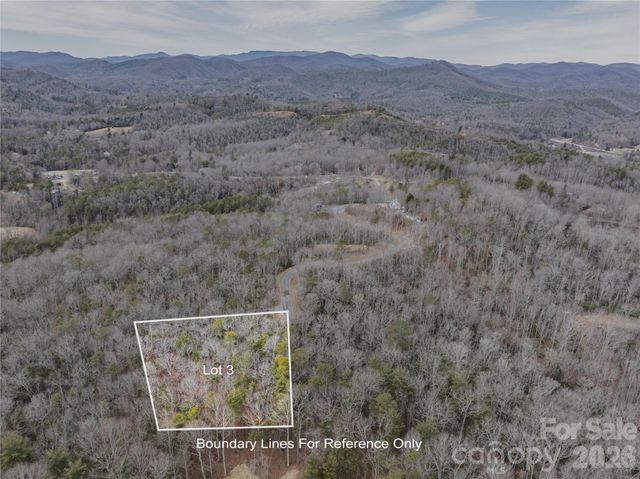 Tract 3 Turtle Ridge Trail, Mills River, NC 28759
