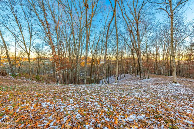 2318 Turkey Ridge Lane, Piney Flats, TN 37686