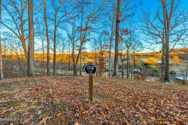 2318 Turkey Ridge Lane, Piney Flats, TN 37686
