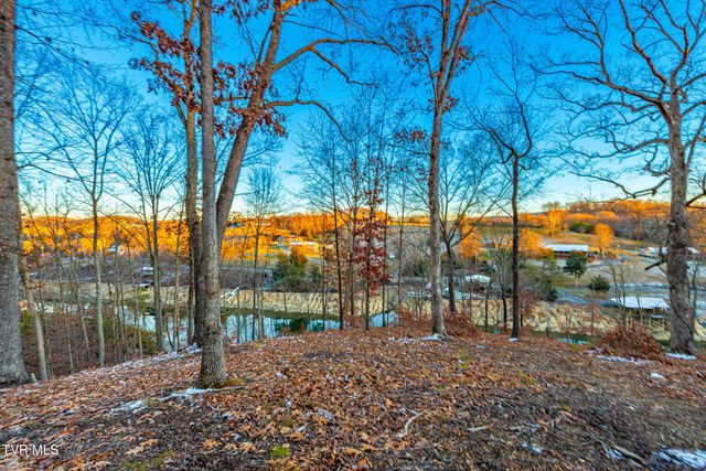 2318 Turkey Ridge Lane, Piney Flats, TN 37686