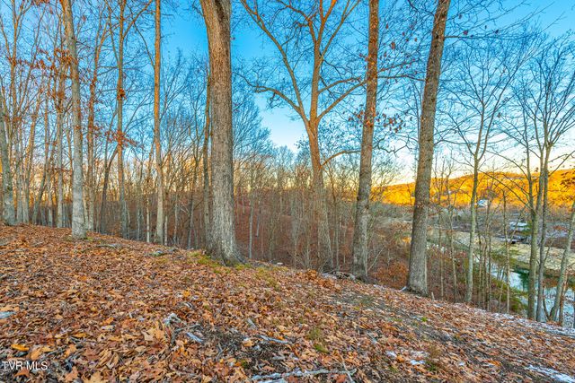 2318 Turkey Ridge Lane, Piney Flats, TN 37686