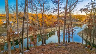 2318 Turkey Ridge Lane, Piney Flats, TN 37686