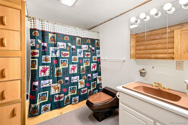 492 Trail Creek Road, Lake George, CO 80827