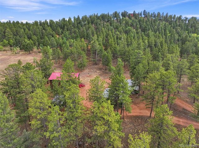 492 Trail Creek Road, Lake George, CO 80827