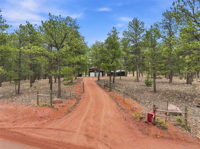 492 Trail Creek Road, Lake George, CO 80827