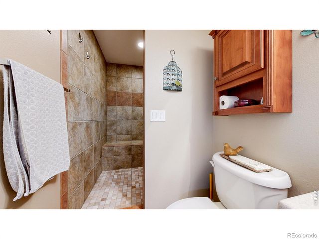 1107 San Miguel Drive, Severance, CO 80550