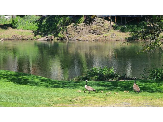 1022 K St, Washougal, WA 98671