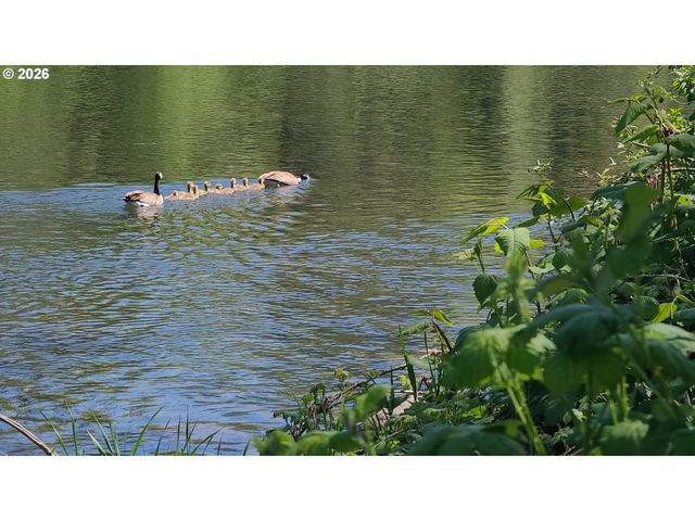 1022 K St, Washougal, WA 98671