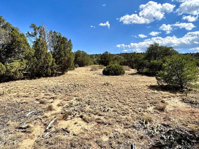 Lot 919 Los Vaqueros Cir, Walsenburg, CO 81089