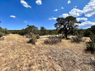 Lot 919 Los Vaqueros Cir, Walsenburg, CO 81089