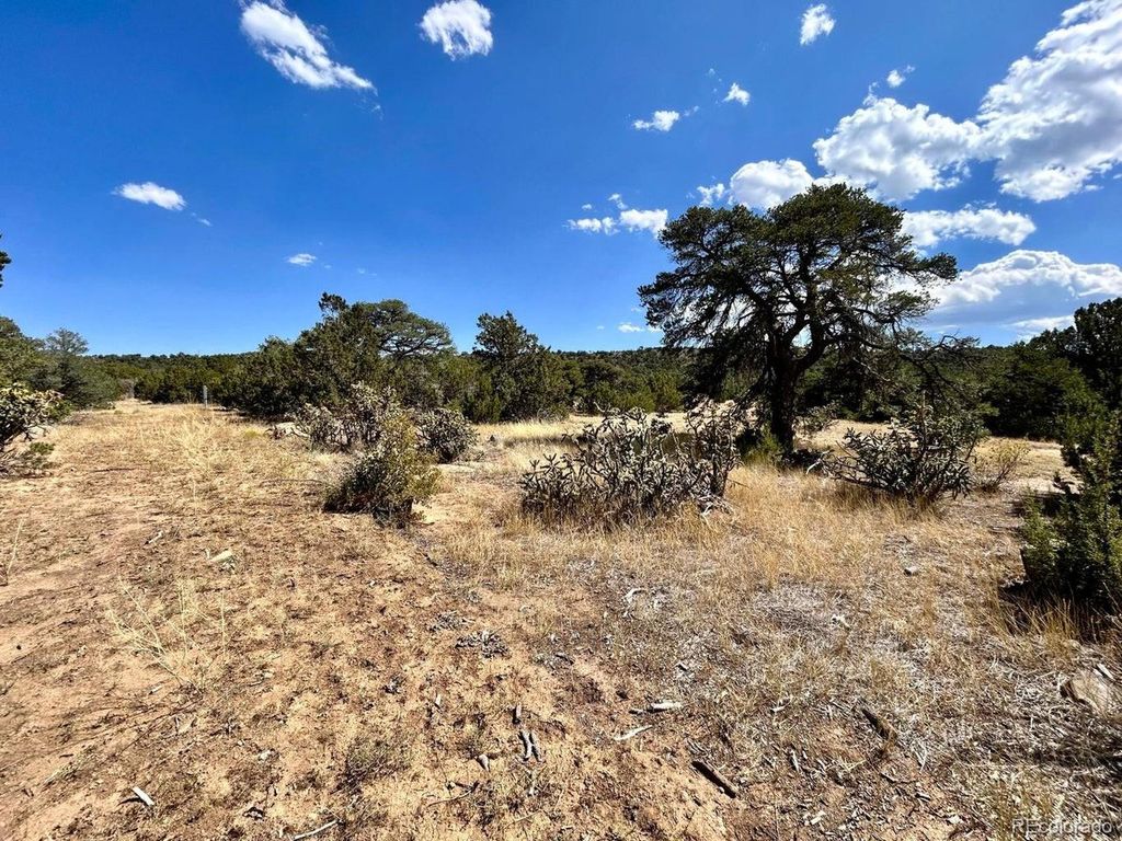 Lot 919 Los Vaqueros Cir, Walsenburg, CO 81089