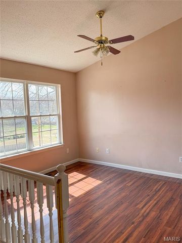 1313 Hill Road, Festus, MO 63028