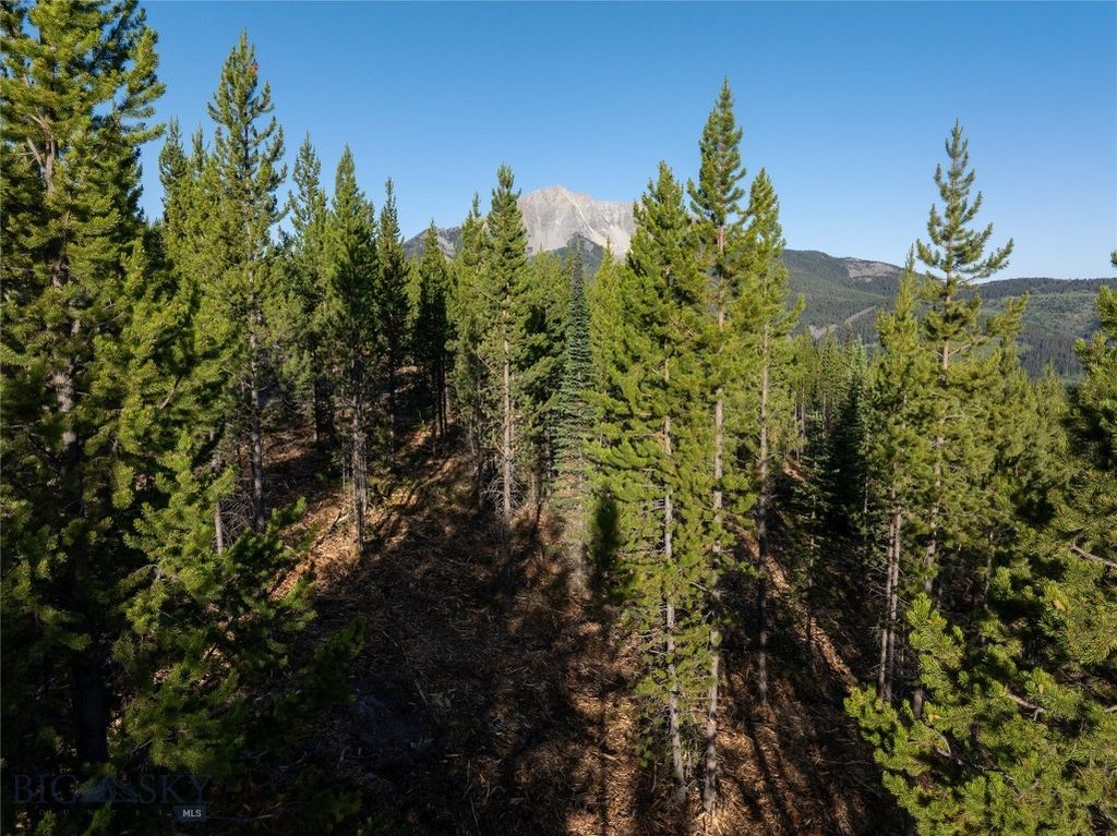 TBD Sawtooth Road Lot 11, Big Sky, MT 59716 photo 2