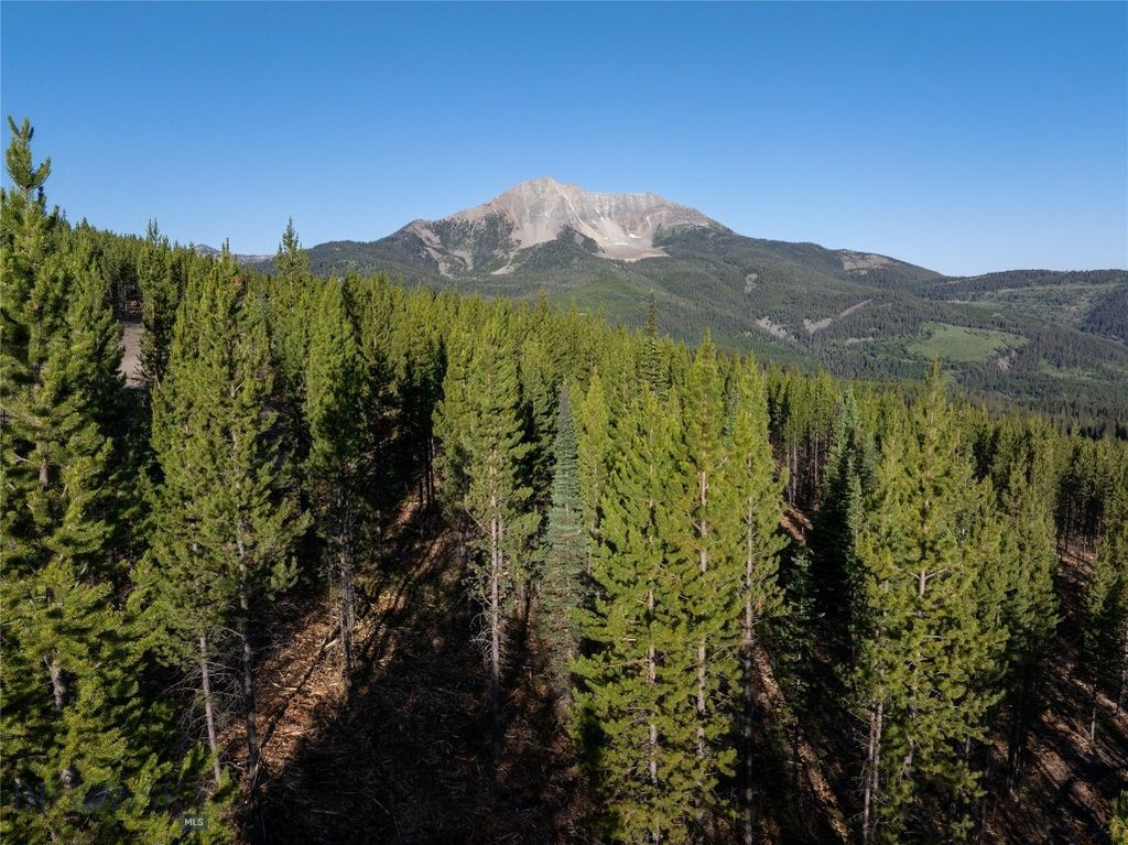 TBD Sawtooth Road Lot 11, Big Sky, MT 59716 photo 5