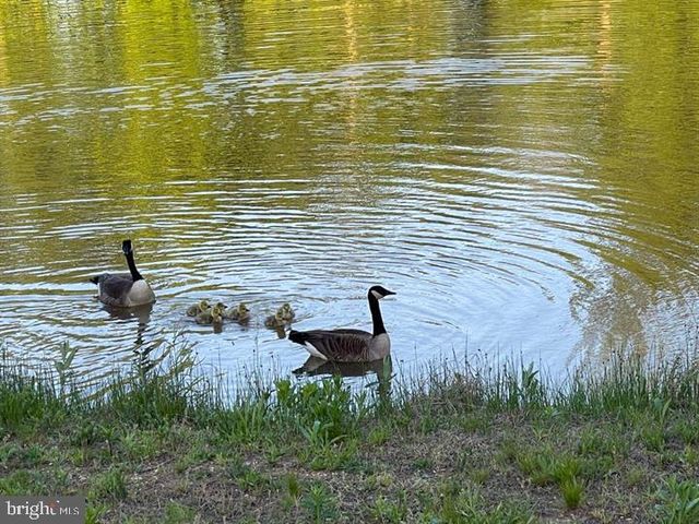 13122 BROOKTREE LN, Laurel, MD 20707