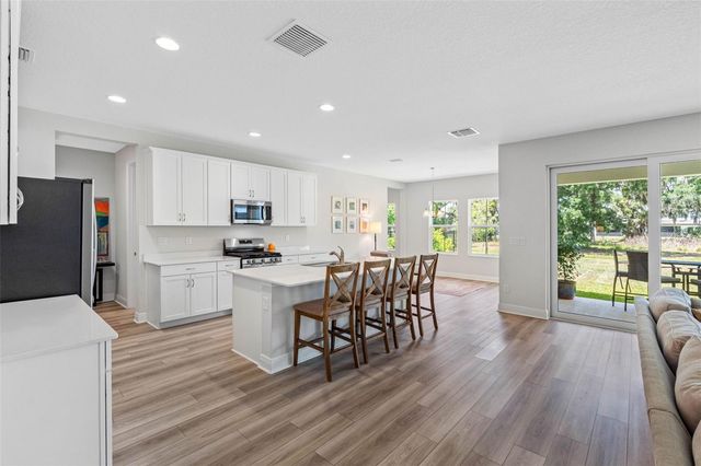 14868 SUMMER BRANCH DRIVE, Lithia, FL 33547