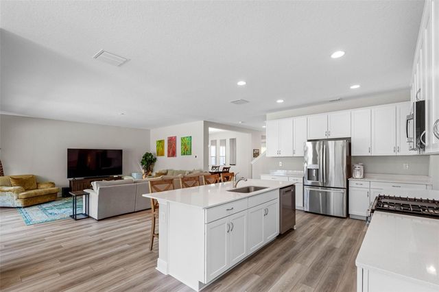 14868 SUMMER BRANCH DRIVE, Lithia, FL 33547