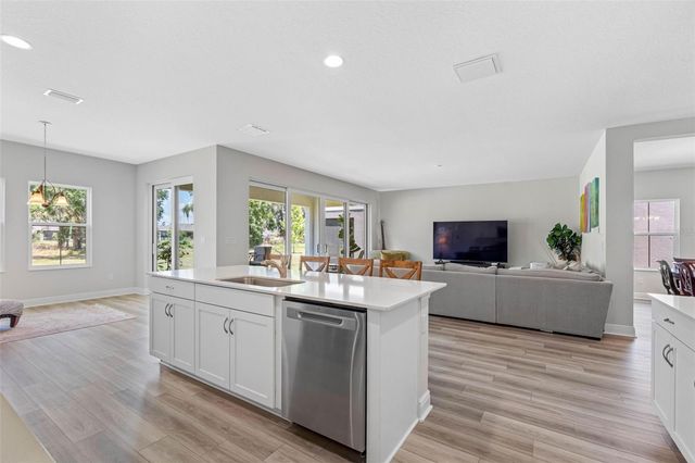 14868 SUMMER BRANCH DRIVE, Lithia, FL 33547