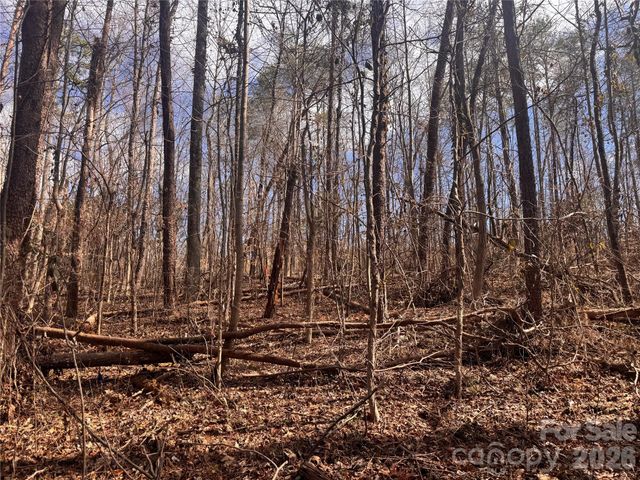 3924 Deer Run Drive NE, Conover, NC 28613