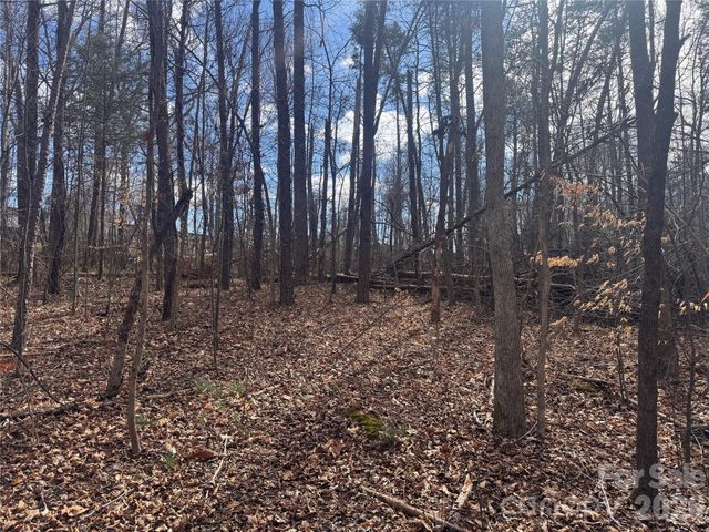 3924 Deer Run Drive NE, Conover, NC 28613