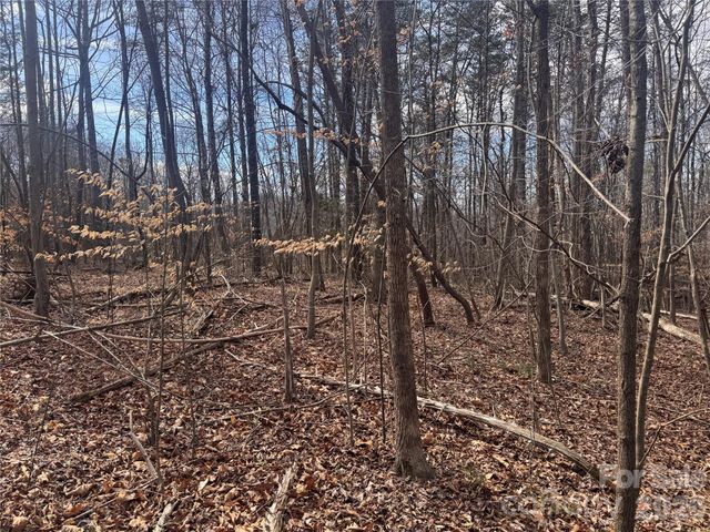 3924 Deer Run Drive NE, Conover, NC 28613