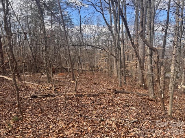 3924 Deer Run Drive NE, Conover, NC 28613