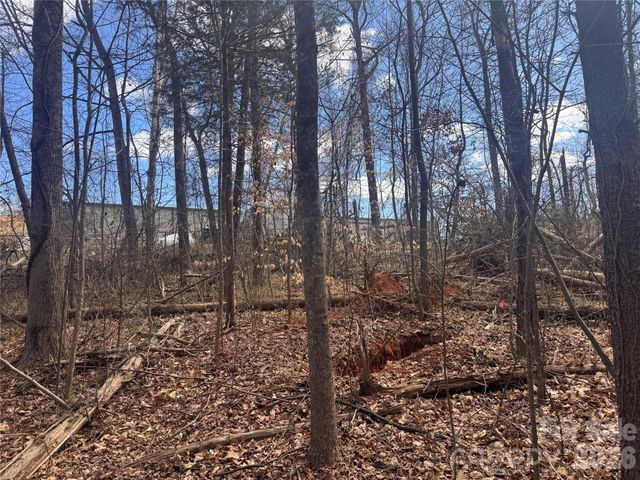 3924 Deer Run Drive NE, Conover, NC 28613