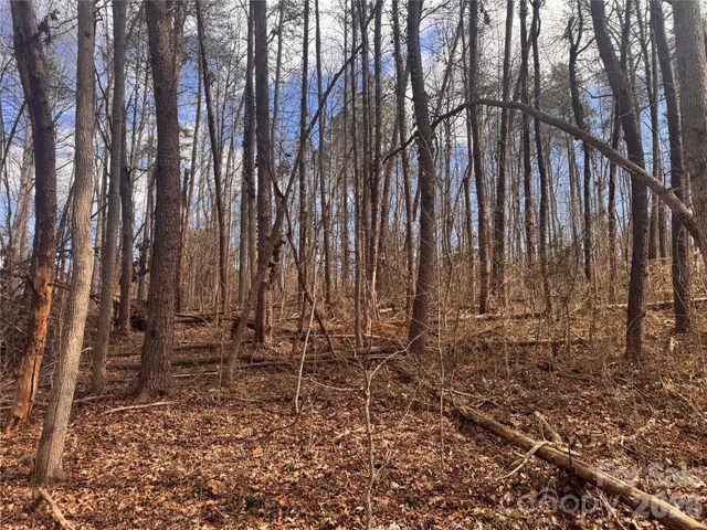 3924 Deer Run Drive NE, Conover, NC 28613