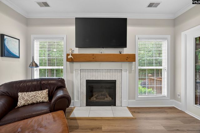 248 Platinum Drive, Lexington, SC 29072