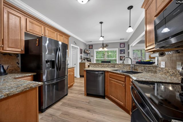 248 Platinum Drive, Lexington, SC 29072