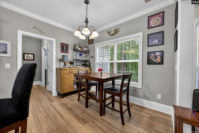 248 Platinum Drive, Lexington, SC 29072