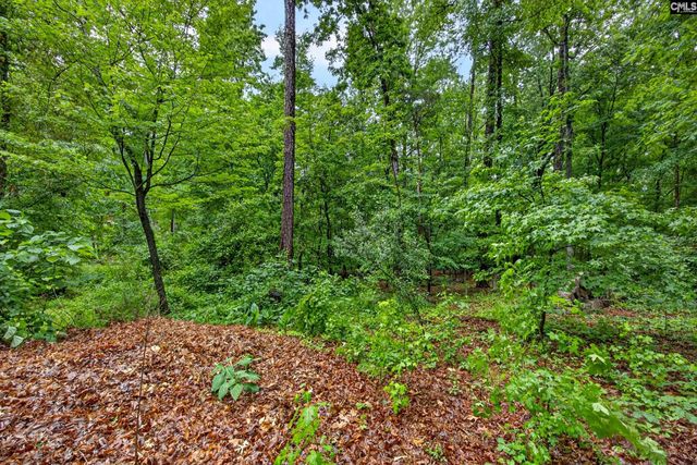 248 Platinum Drive, Lexington, SC 29072