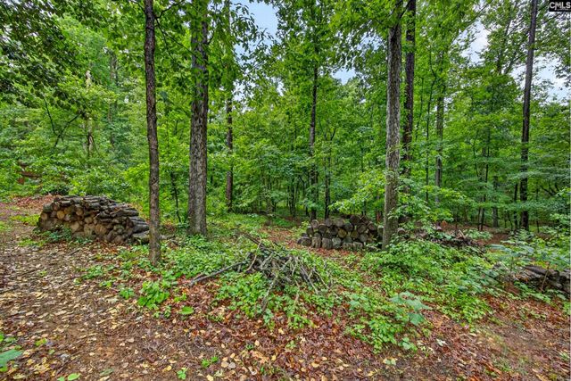 248 Platinum Drive, Lexington, SC 29072