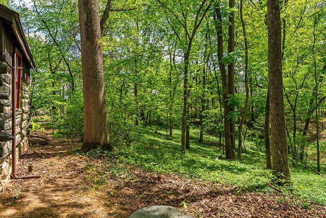 4439 OLD FORGE RD, Luray, VA 22835