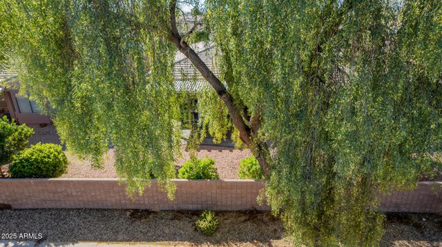 15136 W CACTUS RIDGE Way, Surprise, AZ 85374