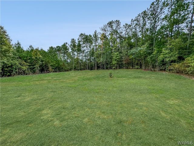 5530 New Watermelon, Tuscaloosa, AL 35406