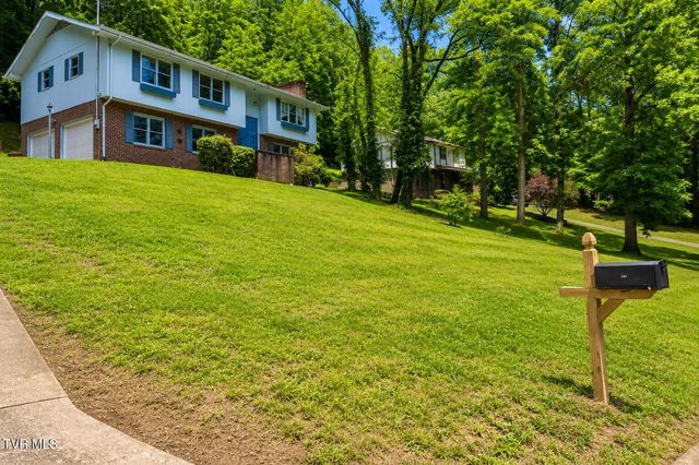 205 Tamassee Drive, Johnson City, TN 37601