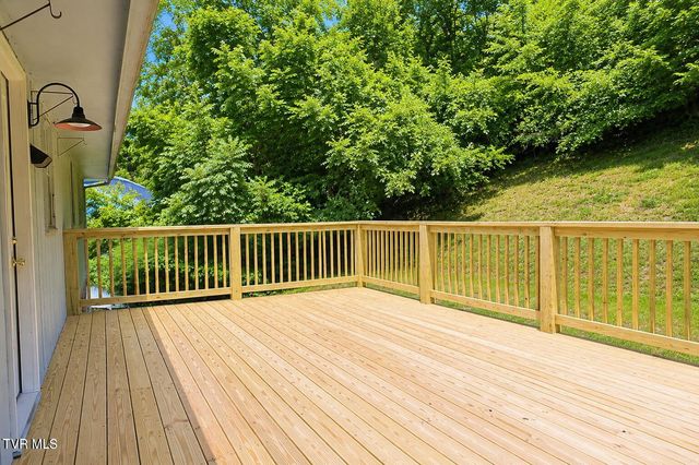 205 Tamassee Drive, Johnson City, TN 37601