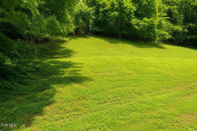 205 Tamassee Drive, Johnson City, TN 37601