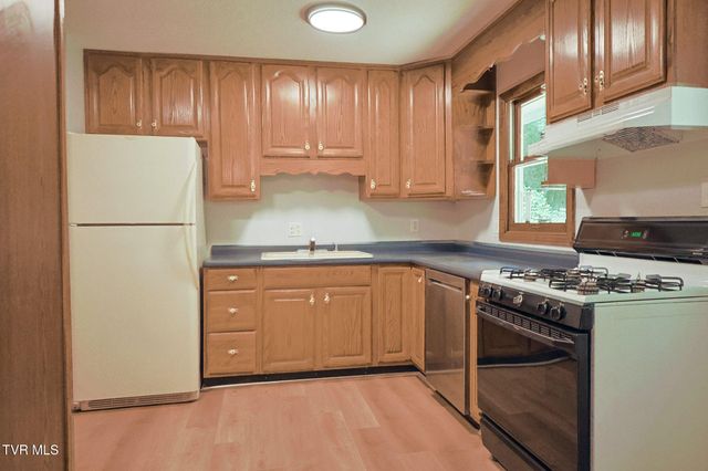205 Tamassee Drive, Johnson City, TN 37601