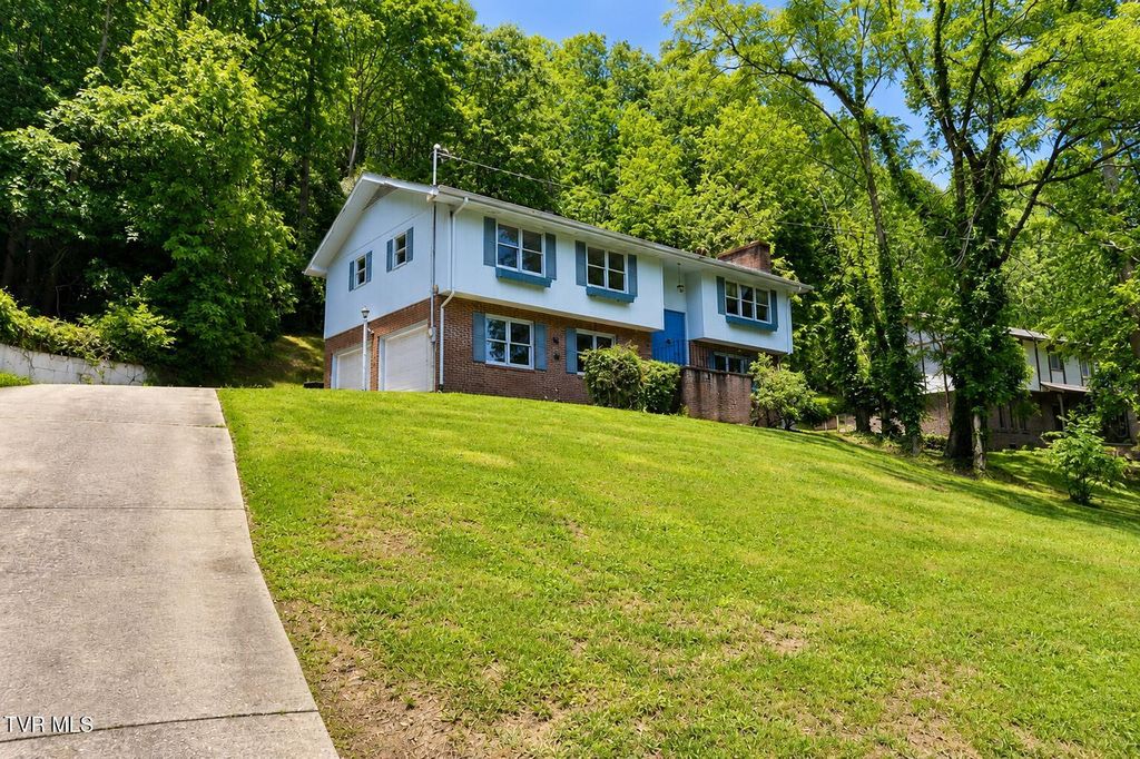 205 Tamassee Drive, Johnson City, TN 37601