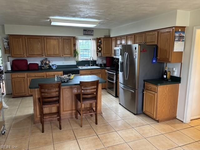 27384 Colosse RD, Carrsville, VA 23315