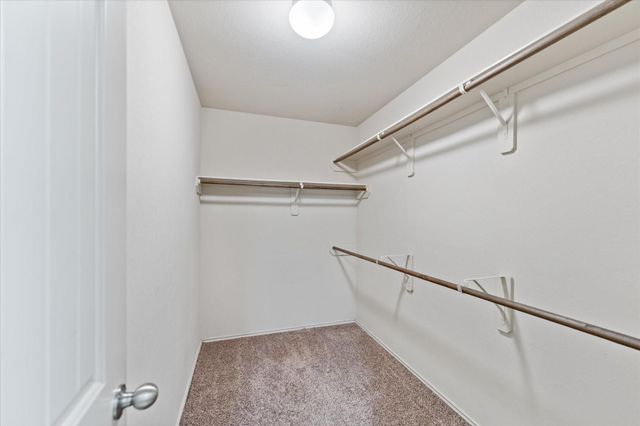 23210 Comarca Dr, Magnolia, TX 77354