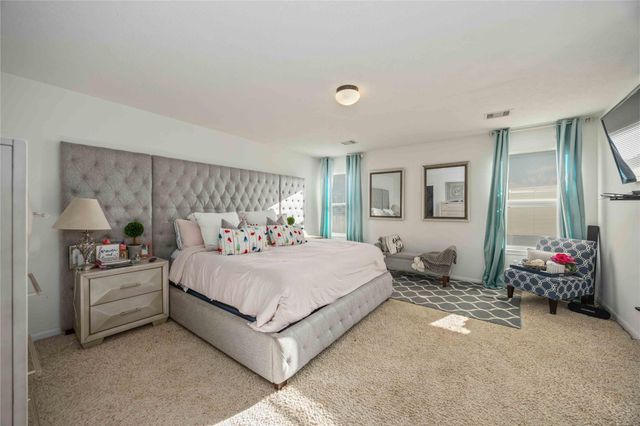 15338 Trinity Meadow Drive, Houston, TX 77489