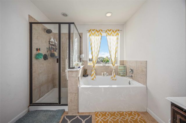 15338 Trinity Meadow Drive, Houston, TX 77489