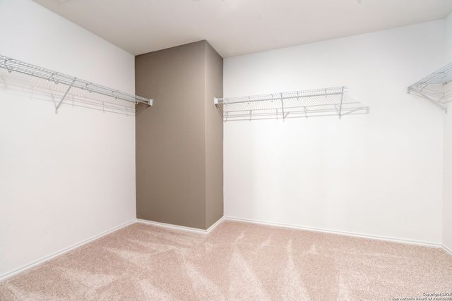 12028 Mutton Busting Drive, San Antonio, TX 78254